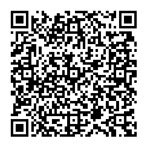 而这些拥有一技之长的人就专门负责为那些在深渊中立下功勋的战士提供各种各样更高层次的享受二维码生成