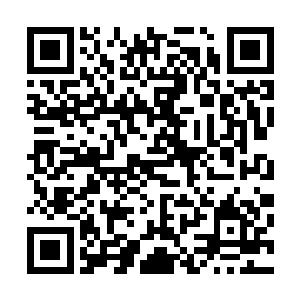 而这些武器也正在跟这机械巨兽胸部的舰炮一样在进行充能二维码生成