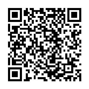 而这些老者无论是修为还是地位都要比他们高一级二维码生成