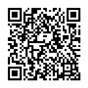 而这些谚语也可以证明萝卜的功效在日常生活中有多么重要二维码生成