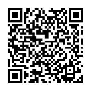 而这些通灵材质往往都是用来锻造法器的极品材料二维码生成