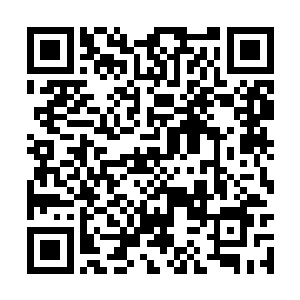 而这什么都能演的周闰发自然让他有着足够的兴趣二维码生成