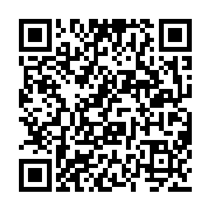 而这位可爱的朋友总是能够带给我们一些惊喜的二维码生成
