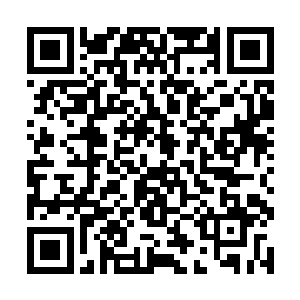 而这冰霜巨人生前同样也是肉身成圣一道的顶级强者二维码生成