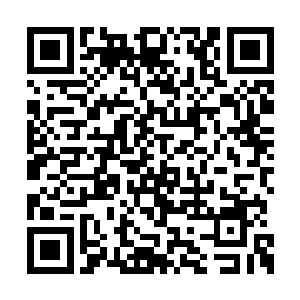 而这几乎是娑娜有史以来第一次来到更远的地方二维码生成