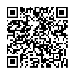 而这凤羽族的族长感受到秦宇鼓励的目光也是越说越有劲二维码生成