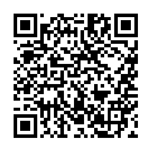 而这创世青莲也因为混沌破碎所引起的可怕力量而彻底破碎二维码生成