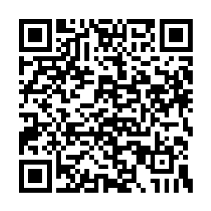 而这又差点浪费了一枚他从骨承之地带出的元晶二维码生成