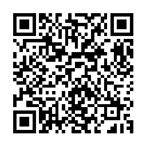 而这名男选手则在当天的日记屋里表白说他对罗密欧一见钟情了二维码生成