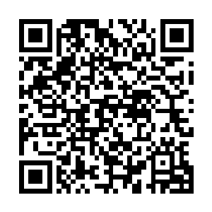 而这头食灵兽被剑气击中之处仅仅出现一道淡淡的白色痕迹二维码生成