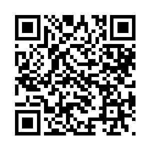 而这家伙是全力以赴在寻找阿爷和小妹二维码生成