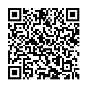 而这就是苏凡事先叫白子河帮助娑娜办的身份证二维码生成