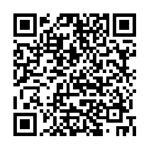 而这弓弦乃是从一头强大的妖兽身上抽下来的筋二维码生成