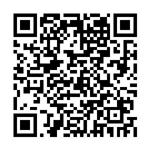 而这数亿万年来百族是居住在不同的破碎大路上二维码生成