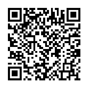 而这时候我主人却依然在面对无数的虫族的围攻二维码生成