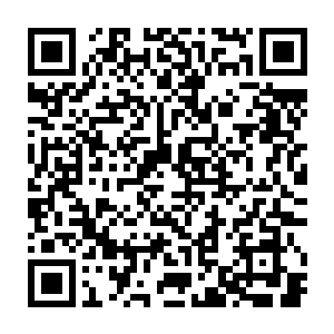 而这时候没分到机关蜘蛛一杯羹的人又发觉了床榻上面摆放着的机关蝙蝠的躯体二维码生成