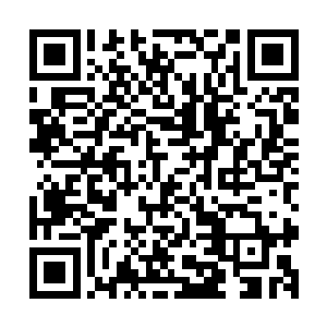 而这样的完美二十多倍增幅也是来自于魔宗的一上等秘法――二维码生成