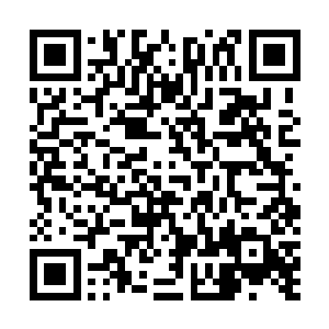 而这样的攻杀团体几乎完美抵抗了可怕的鬼羊军刺杀军团二维码生成