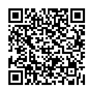 而这样长达一米多的肠子状的节虫却有数十只之多二维码生成