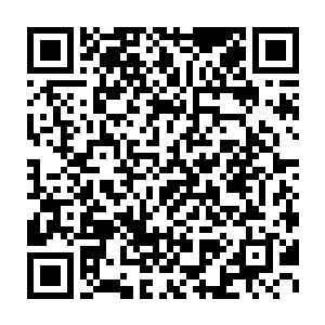 而这次他带来的种子已经是他得到的野生稻的不知道第多少代改良品二维码生成