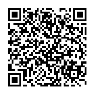 而这次呆爷竟然通过一个挖出的木人判断出了状元村接下来的命运二维码生成