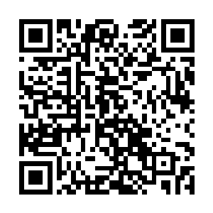 而这次战斗当中也造成了一位霍拉尔黑蛇术士的死亡二维码生成