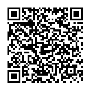 而这次若倒霉了……过去看科洛丝和维多利亚的乐子我其实很开心的二维码生成