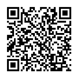 而这漆黑的通道里面根本就没有什么地方可以趋避闪躲二维码生成