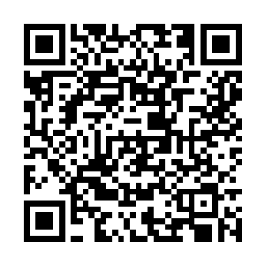 而这种匍匐着的姿势是最难在瞬间达到一定速度的二维码生成