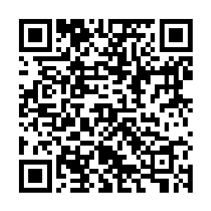 而这群不死仙军一下子就给我的群星缭绕打成了能量体二维码生成