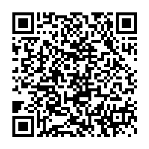 而这群人中的比较强大的那位金丹后期的师兄也加入到了战斗之中二维码生成