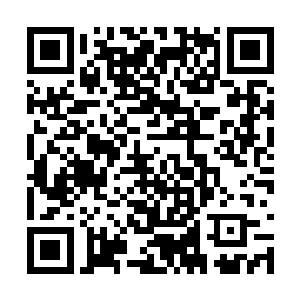 而这辰家大爷只不过是末世战争后崛起的一代强者二维码生成