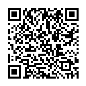 而这里如此广袤的星球却只是苍茫界一个僻远的界岛二维码生成