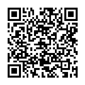 而这里的湖水天生散发着一股令人发冷的死亡气息二维码生成