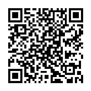 而这间房间里看起来也没有能够对自己造成威胁的人物后二维码生成