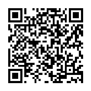 而透明容器上的脉络虽然也深入了薛紫夜身体各部二维码生成