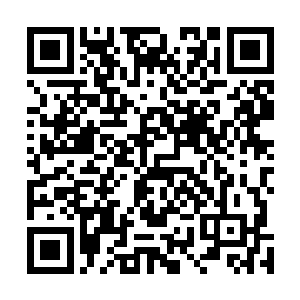 而通过这几天吸了那些误入芭蕉林年轻男人的精元和鲜血二维码生成