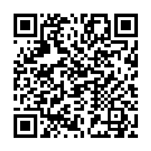 而那……就更不可能和施龙有关了……且不说人家家里也不差钱二维码生成