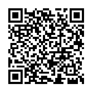 而那一团混沌的神魂能量似乎已经到了一种极限二维码生成