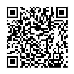 而那三大家族自然也就不敢在这个时候对我们许家动手了二维码生成