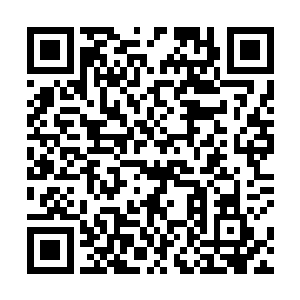 而那两个人尊大修士和地尊初期大修士也是一脸的迷茫二维码生成
