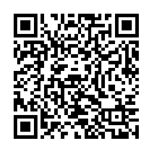 而那两个在上面打的浑然忘记这里是什么地方的人二维码生成