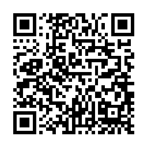 而那个为张皇后主诊的太医院江太医的额头上一直在冒冷汗二维码生成