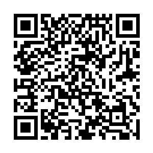 而那个之前认出陈易清的员工现在也是低着头不说话二维码生成