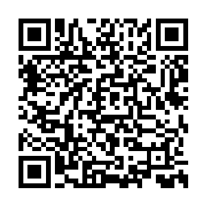 而那个仙人在说完后就解除了对众人的镇压封禁二维码生成