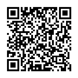 而那个刚才咬在我手上死活不松口的小瑞娅却突然出口了二维码生成