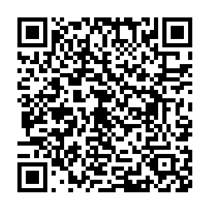 而那个女鬼的头此刻却是变成了一张皮一般套在了刘一鸣的头颅之上二维码生成