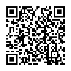 而那个漂亮的女孩仿佛不喜欢被这么多人所注视着二维码生成