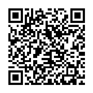 而那个炼气期修士则被十八个筑基期修士保护在中间控制着主阵二维码生成
