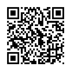 而那个轰碎大手印的拳头却只是暗淡了一点二维码生成